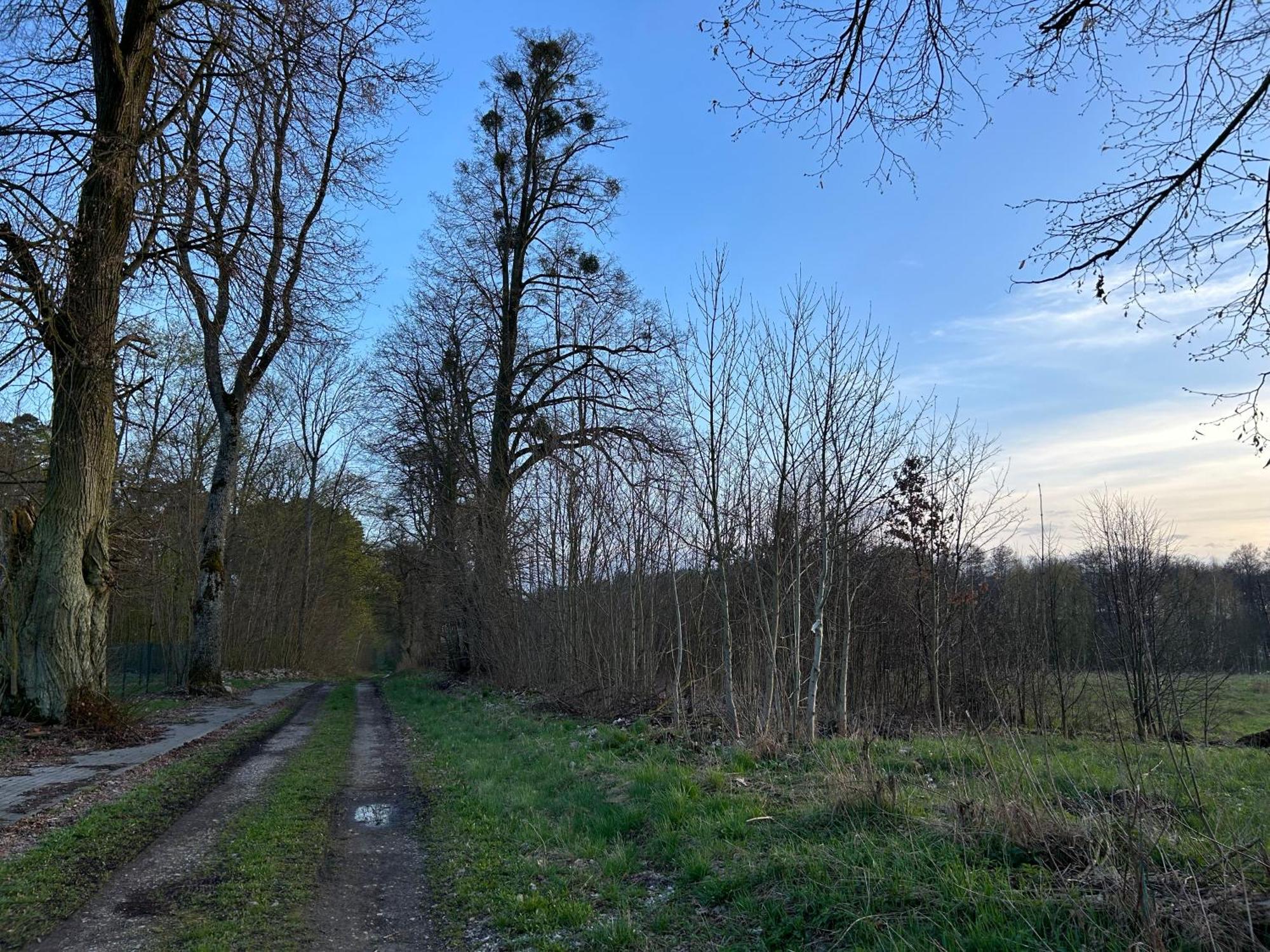 Caloroczny Domek Nad Jeziorem - Balia Z Jacuzzi Villa Balewo  Exteriör bild